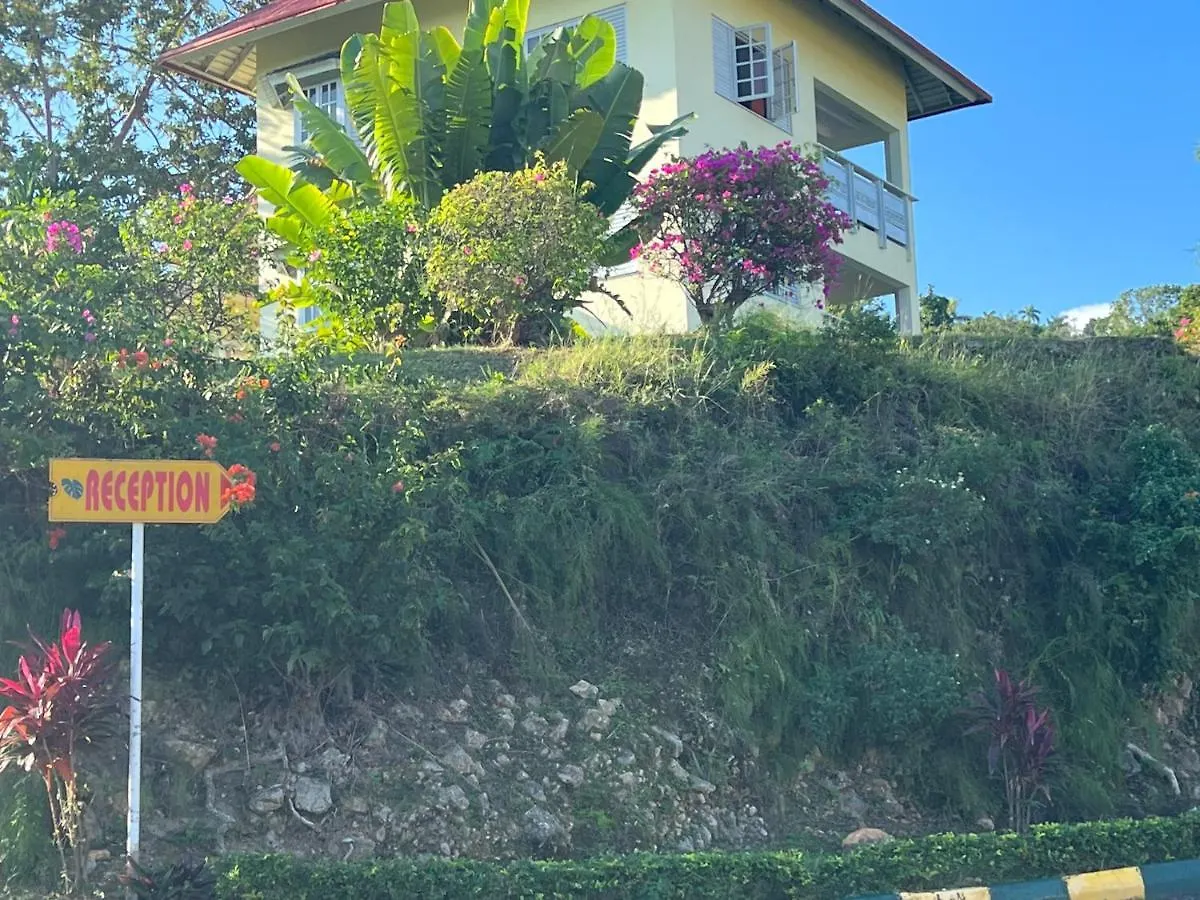 The Paradise View Mystic Ridge 79A Ocho Rios